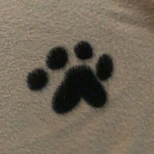 TWO Dog blankets big and soft - 2 for $16 and pay only one shipping!